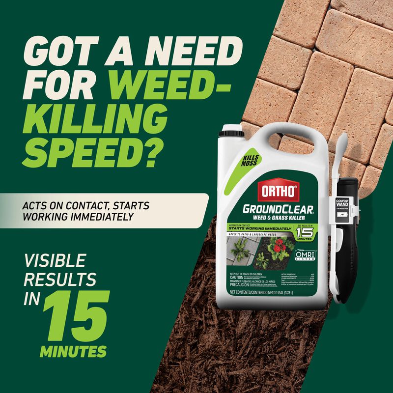 Ortho&reg; GroundClear&reg; Weed & Grass Killer with Comfort Wand&reg; image number null